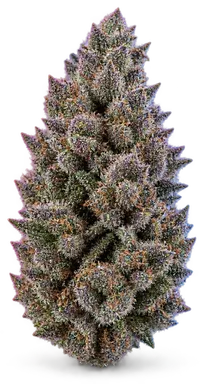 AI-generated illustration of a cannabis flower for the Sequoia Strawberry page, not a photo of the strain