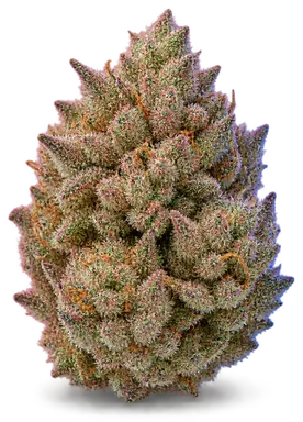 AI-generated illustration of a cannabis flower for the Sex Candy page, not a photo of the strain
