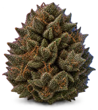 AI-generated illustration of a cannabis flower for the SFV OG page, not a photo of the strain