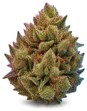 AI-generated illustration of a cannabis flower for the Sherbelatto page, not a photo of the strain