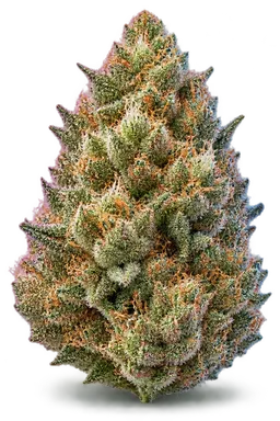 AI-generated illustration of a cannabis flower for the Sherbert page, not a photo of the strain