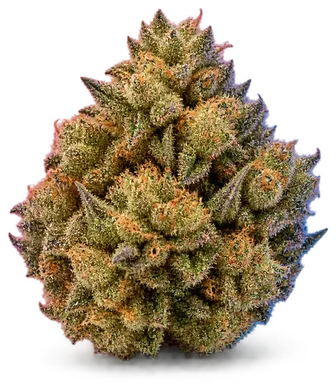AI-generated illustration of a cannabis flower for the Sherbert Haze page, not a photo of the strain