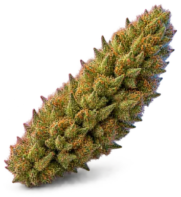 AI-generated illustration of a cannabis flower for the Sherbert X Wedding Cake page, not a photo of the strain
