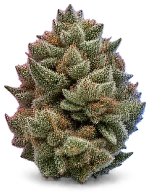 AI-generated illustration of a cannabis flower for the Shortcake page, not a photo of the strain