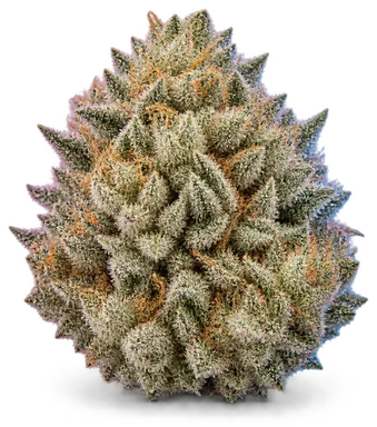 AI-generated illustration of a cannabis flower for the Silver Kush page, not a photo of the strain