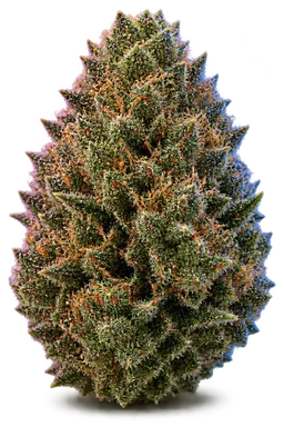 AI-generated illustration of a cannabis flower for the Sin Valley OG page, not a photo of the strain