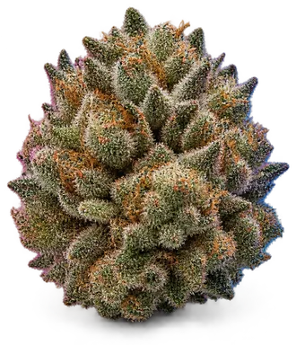 AI-generated illustration of a cannabis flower for the Skittlez-Biscotti page, not a photo of the strain