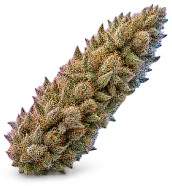 AI-generated illustration of a cannabis flower for the Skittlez Cookies page, not a photo of the strain