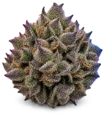 AI-generated illustration of a cannabis flower for the Skunkberry page, not a photo of the strain