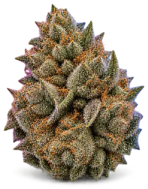 AI-generated illustration of a cannabis flower for the Skywalker OG page, not a photo of the strain