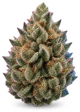 AI-generated illustration of a cannabis flower for the Skywalker OG Kush page, not a photo of the strain