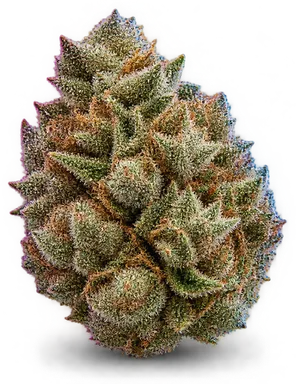 AI-generated illustration of a cannabis flower for the Slap N Tickle page, not a photo of the strain