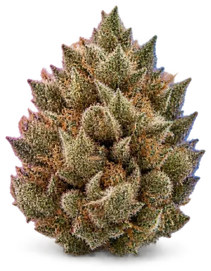 AI-generated illustration of a cannabis flower for the Slhoamac page, not a photo of the strain