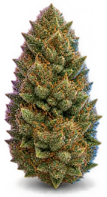 AI-generated illustration of a cannabis flower for the Slushee Beer page, not a photo of the strain