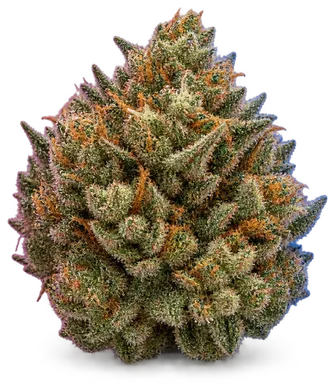 AI-generated illustration of a cannabis flower for the Smoothee Shelf Life Study page, not a photo of the strain