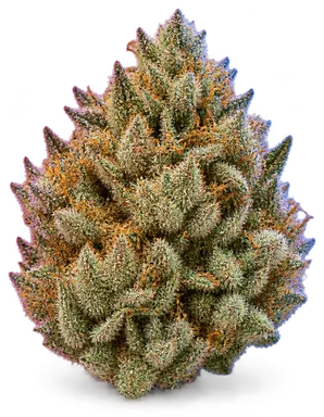 AI-generated illustration of a cannabis flower for the Snowball 89 page, not a photo of the strain