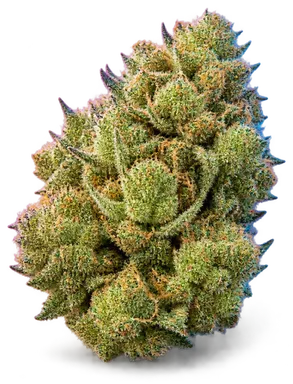 AI-generated illustration of a cannabis flower for the Sour Cxxxx page, not a photo of the strain