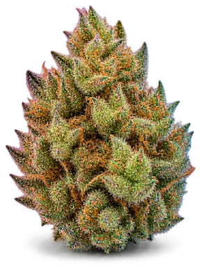 AI-generated illustration of a cannabis flower for the Sour Diesel page, not a photo of the strain