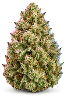 AI-generated illustration of a cannabis flower for the Sour Diesel X Lemon Kush page, not a photo of the strain