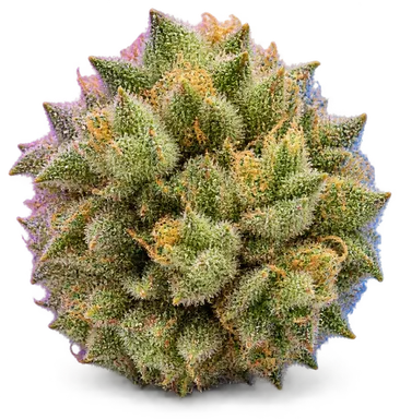 AI-generated illustration of a cannabis flower for the Sour Haze page, not a photo of the strain