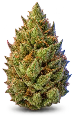 AI-generated illustration of a cannabis flower for the Sour Jack page, not a photo of the strain