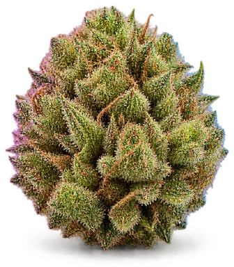 AI-generated illustration of a cannabis flower for the Sour OG page, not a photo of the strain