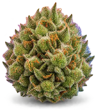 AI-generated illustration of a cannabis flower for the Sour OG Cheese page, not a photo of the strain