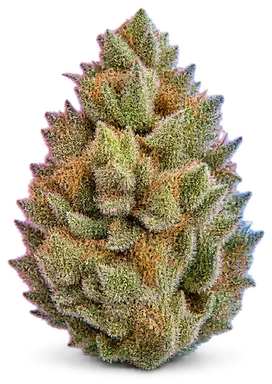AI-generated illustration of a cannabis flower for the Sour Power OG page, not a photo of the strain