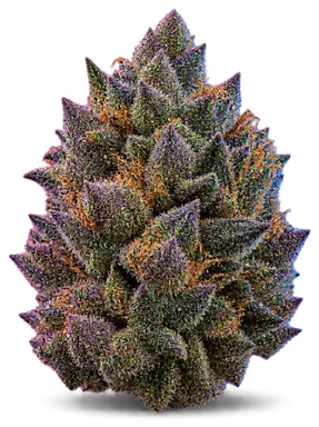 AI-generated illustration of a cannabis flower for the Sour Strawberry Kush page, not a photo of the strain