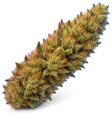 AI-generated illustration of a cannabis flower for the Sour Tangie page, not a photo of the strain