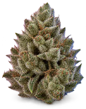 AI-generated illustration of a cannabis flower for the Space Admiral page, not a photo of the strain