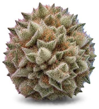 AI-generated illustration of a cannabis flower for the Space Juice page, not a photo of the strain