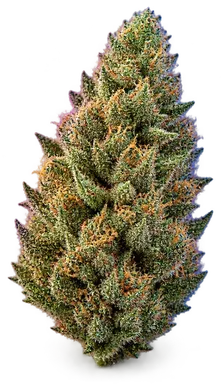 AI-generated illustration of a cannabis flower for the Space Queen page, not a photo of the strain