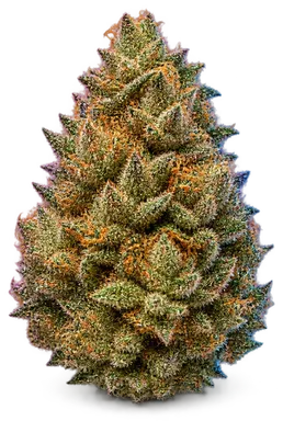 AI-generated illustration of a cannabis flower for the Space Runtz page, not a photo of the strain