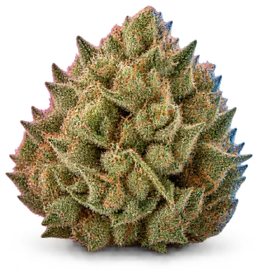 AI-generated illustration of a cannabis flower for the Splitz page, not a photo of the strain