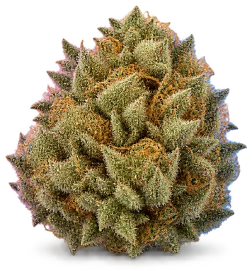 AI-generated illustration of a cannabis flower for the Starburst page, not a photo of the strain