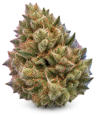 AI-generated illustration of a cannabis flower for the Star Pie page, not a photo of the strain