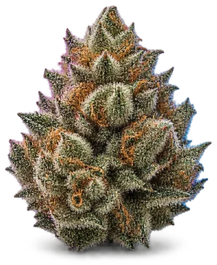 AI-generated illustration of a cannabis flower for the Stoney OG page, not a photo of the strain