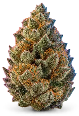 AI-generated illustration of a cannabis flower for the Stoney Point page, not a photo of the strain