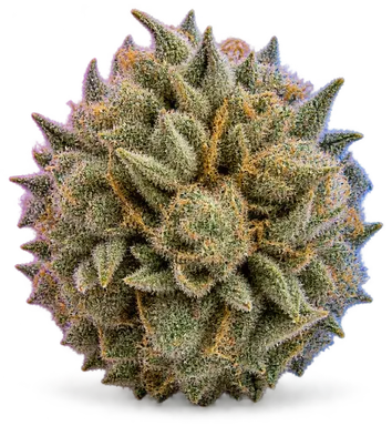 AI-generated illustration of a cannabis flower for the Stp page, not a photo of the strain