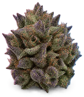 AI-generated illustration of a cannabis flower for the Strawberry Biscotti page, not a photo of the strain