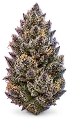 AI-generated illustration of a cannabis flower for the Strawberry Cheesecake page, not a photo of the strain