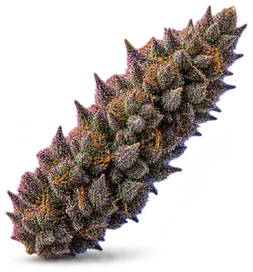 AI-generated illustration of a cannabis flower for the Strawberry Cough page, not a photo of the strain