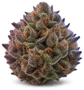 AI-generated illustration of a cannabis flower for the Strawberry Icy page, not a photo of the strain