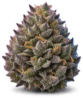 AI-generated illustration of a cannabis flower for the Strawberry Lemonade page, not a photo of the strain