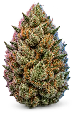 AI-generated illustration of a cannabis flower for the Subzero page, not a photo of the strain