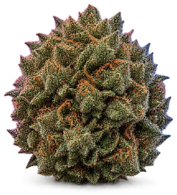 AI-generated illustration of a cannabis flower for the Sugar Glue Lab Test page, not a photo of the strain