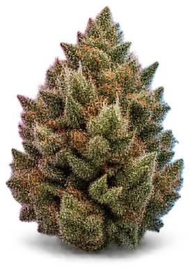 AI-generated illustration of a cannabis flower for the Sugar Wookies page, not a photo of the strain