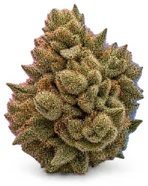 AI-generated illustration of a cannabis flower for the Sundae Best page, not a photo of the strain