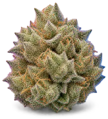 AI-generated illustration of a cannabis flower for the Sundae Driver page, not a photo of the strain